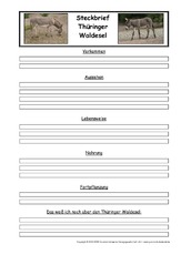 Steckbriefvorlage-Thüringer Waldesel.pdf